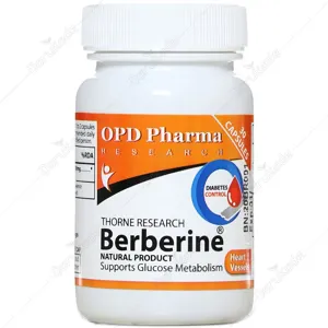 تورن ریسرچ بربرین